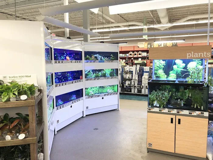 Petco Picture 3