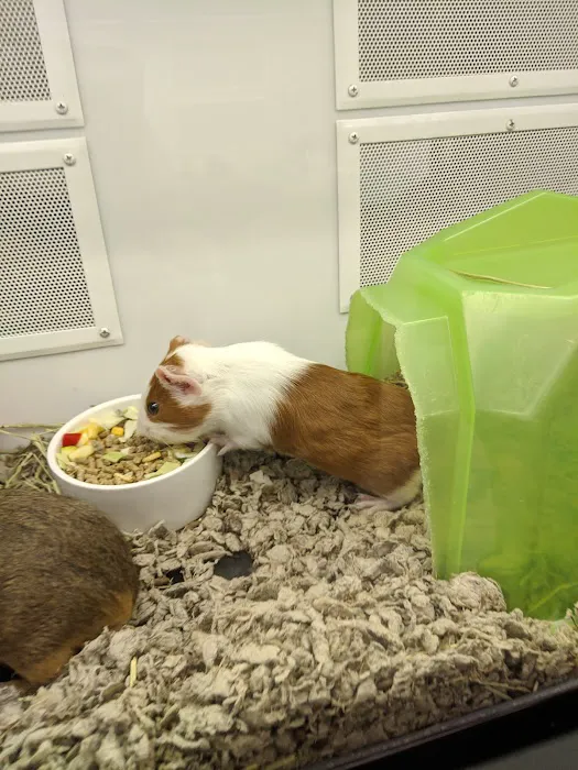 Petco Picture 10