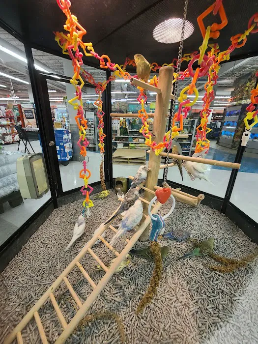 Petco Picture 7