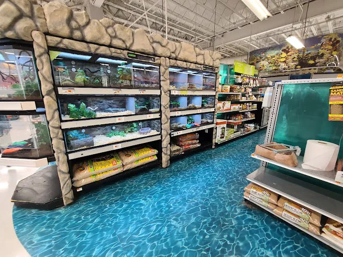 Petco Picture 4