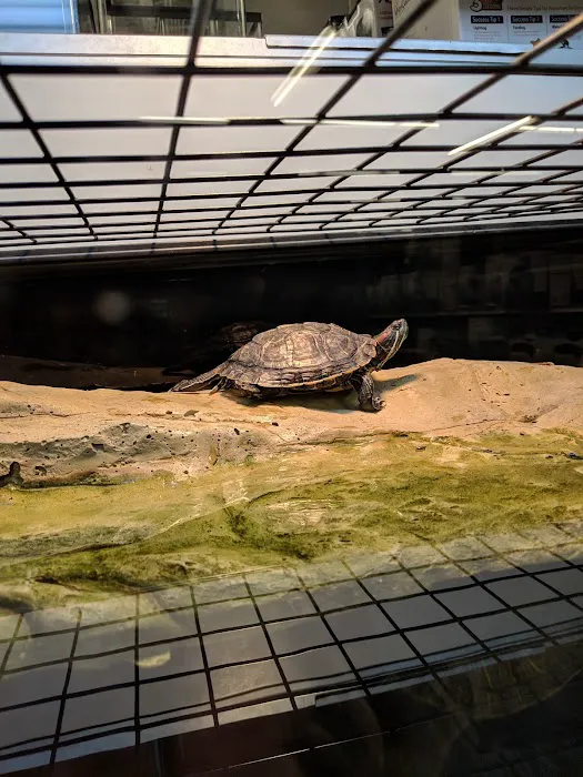 Petco Picture 5