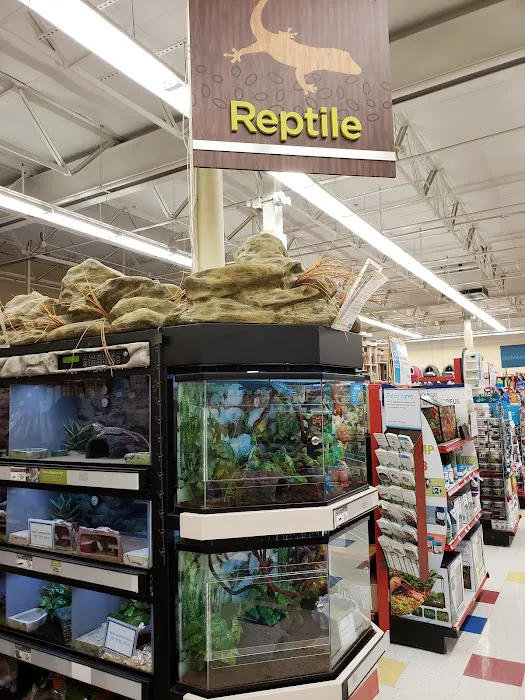 Petco Picture 2