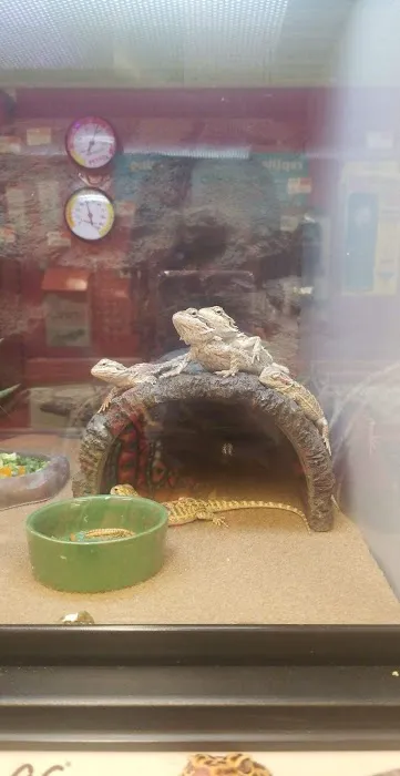 Petco Picture 6