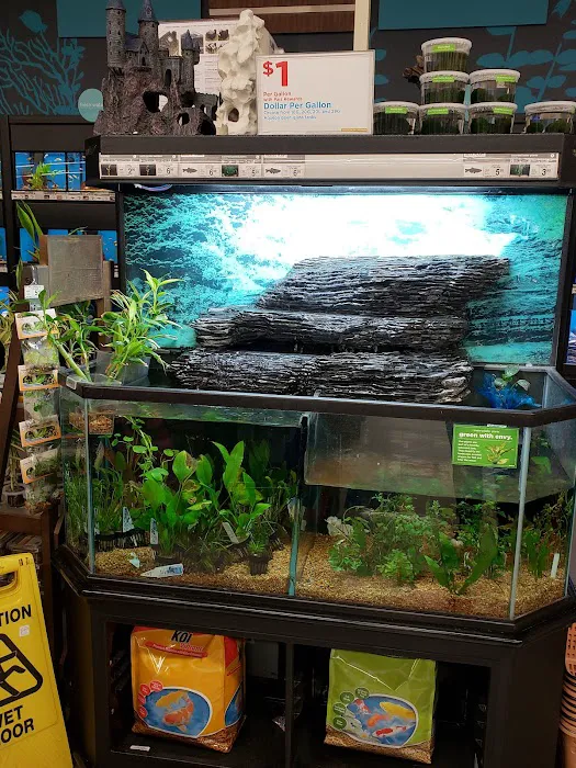 Petco Picture 3
