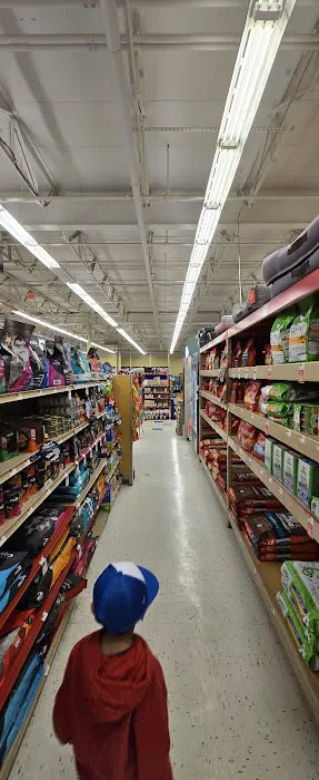 Petco Picture 7