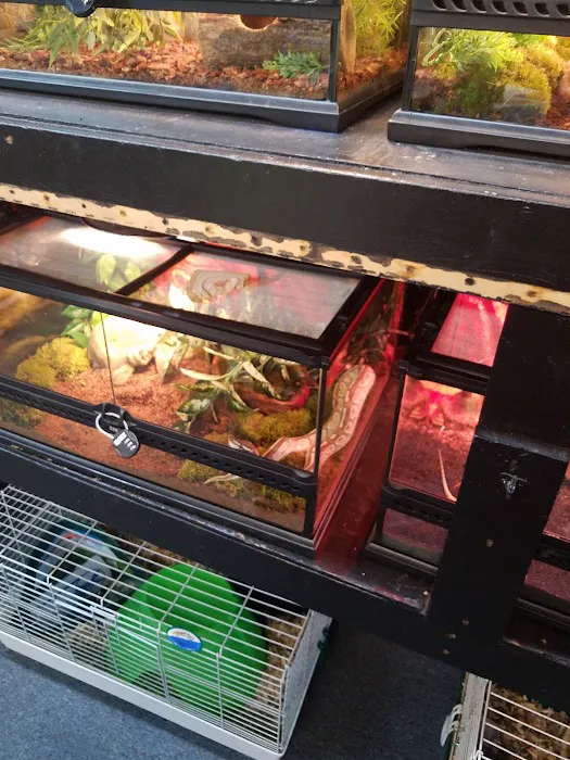 woodlawn pets & More Picture 6