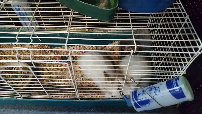 woodlawn pets & More Picture 3