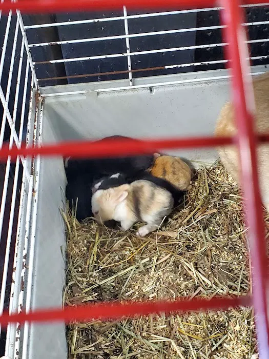woodlawn pets & More Picture 5