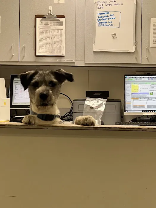 Canyon Animal Hospital Picture 1