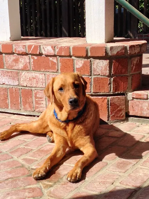 Canyon Animal Hospital Picture 8
