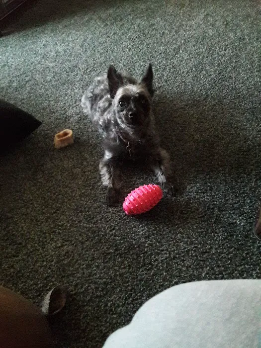 Jeronimo Pet Clinic Picture 4