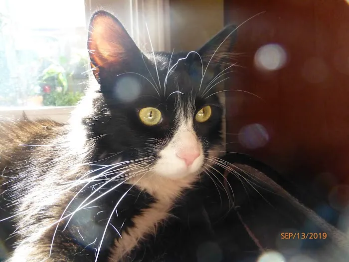 Jeronimo Pet Clinic Picture 7