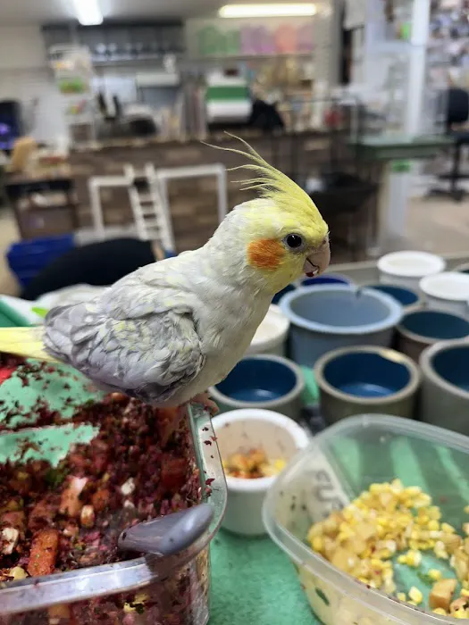 M & D Bird Farm Exotics & Aquatics Picture 5