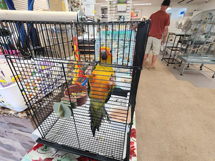 M & D Bird Farm Exotics & Aquatics Picture 9