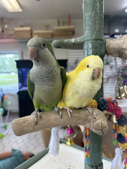 M & D Bird Farm Exotics & Aquatics Picture 7