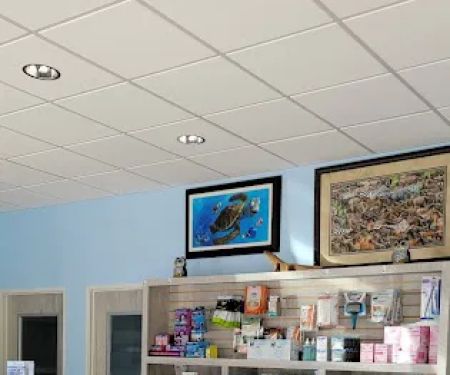 Serrano Animal & Bird Hospital