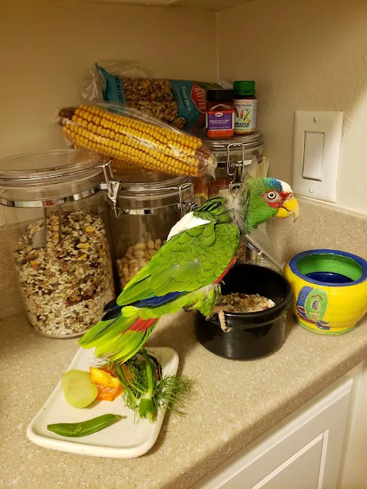 Serrano Animal & Bird Hospital Picture 4
