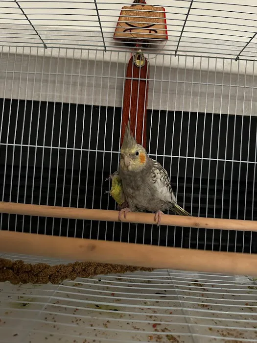 Serrano Animal & Bird Hospital Picture 7