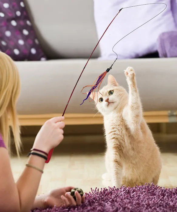Jeri's Pet Pampering Picture 9