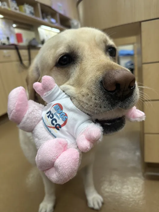 Alicia Pet Care Center Picture 9