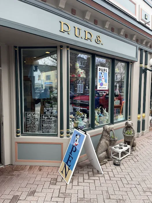 P.U.P.S. of Lewes Picture 2