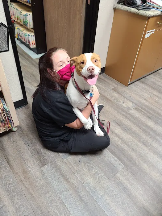 Mission Hills Pet Care Center Picture 5