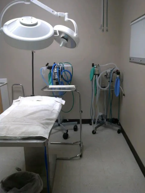 Mission Hills Pet Care Center Picture 6