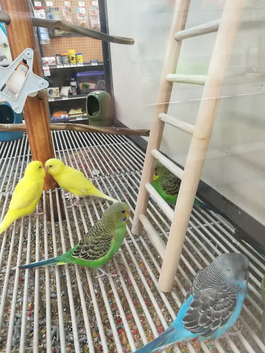 Petco Picture 4