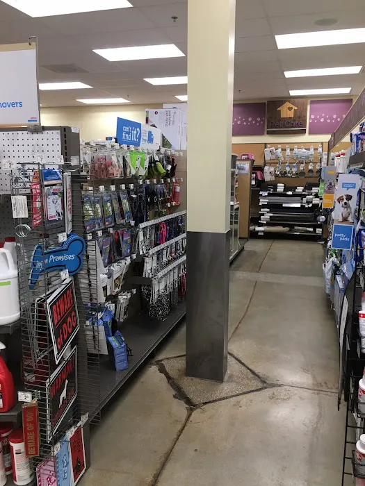 Petco Picture 9