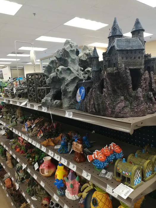Petco Picture 1