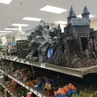 Petco ico