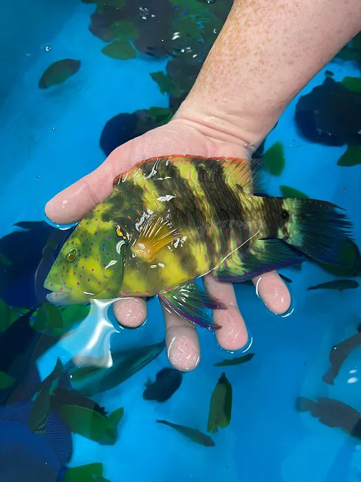 TSM Aquatics, Inc Picture 2