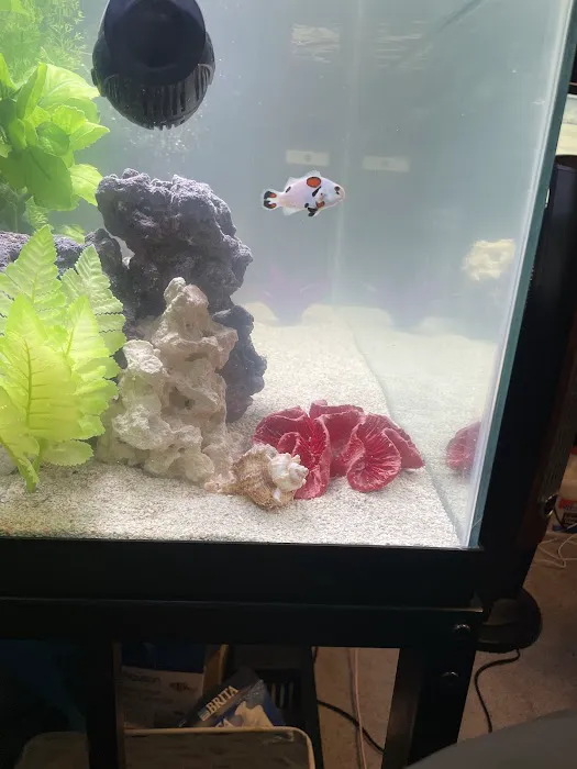 TSM Aquatics, Inc Picture 7