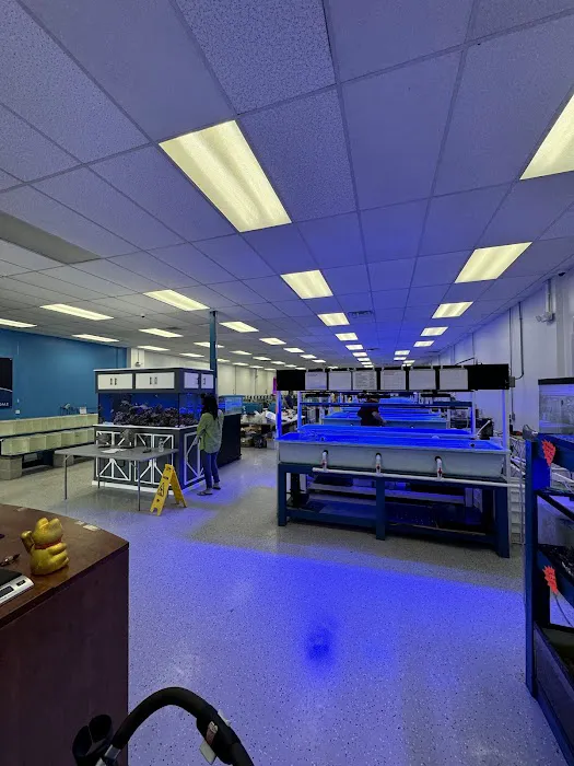 TSM Aquatics, Inc Picture 6