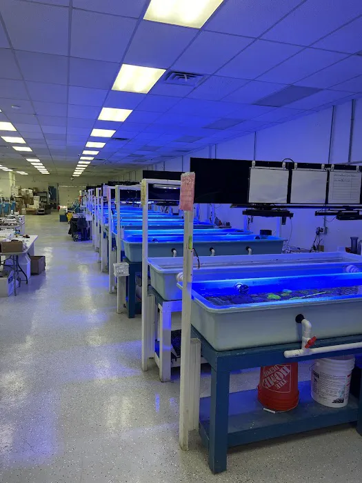 TSM Aquatics, Inc Picture 3