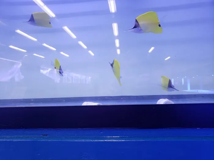 TSM Aquatics, Inc Picture 8