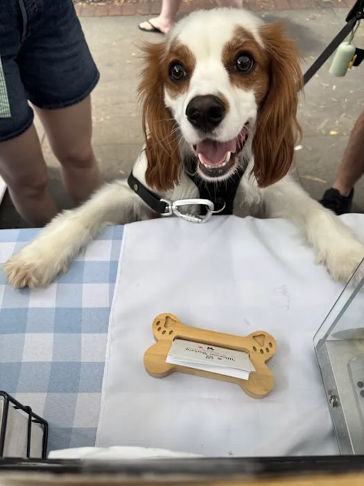Whinnie's Barkery Picture 1
