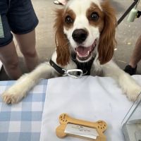 Whinnie's Barkery ico