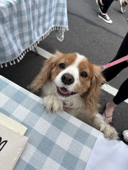 Whinnie's Barkery Picture 10