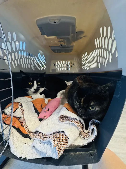 Laguna Pet Care Center Picture 10