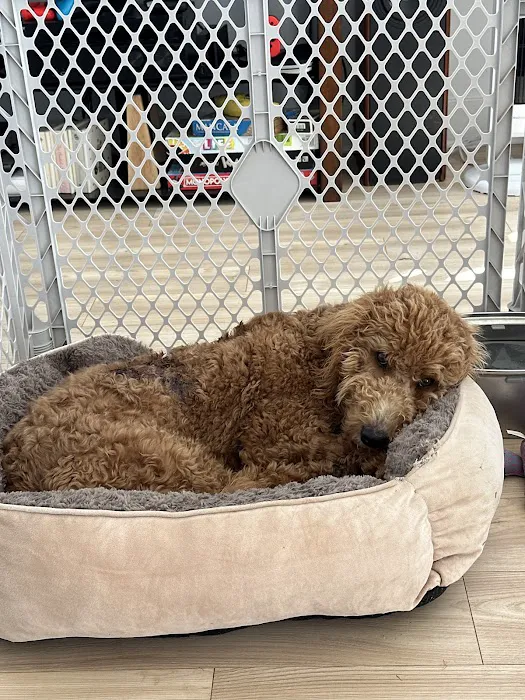 Petco Picture 8