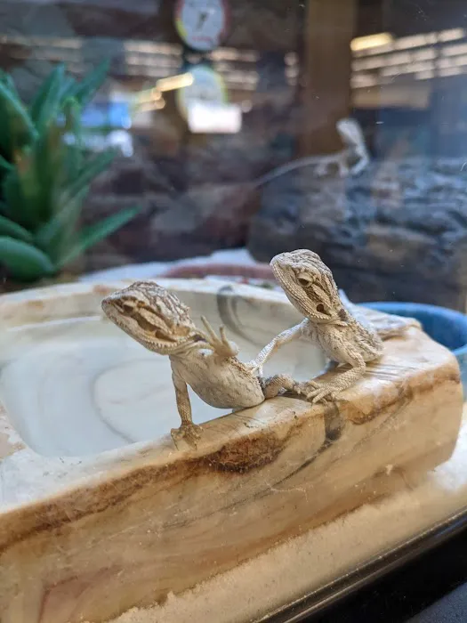 Petco Picture 9