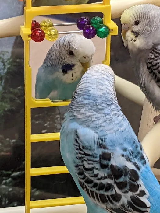 Petco Picture 5