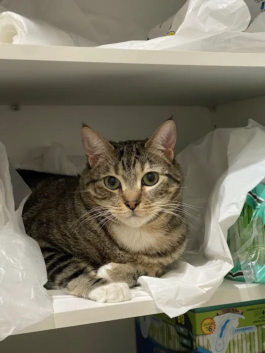 Trinity Pet Hospital Picture 10