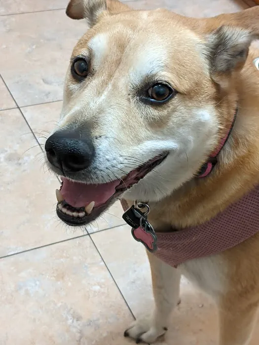 Trinity Pet Hospital Picture 7