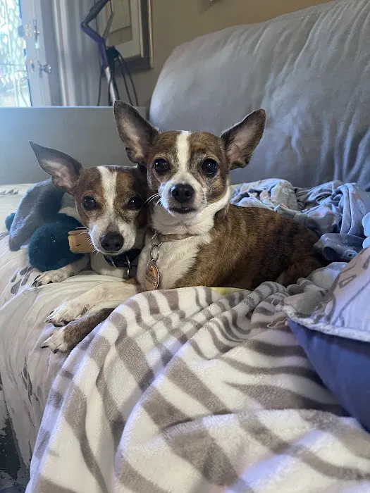 Trinity Pet Hospital Picture 1