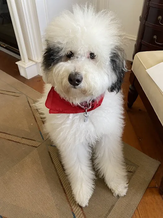 Trinity Pet Hospital Picture 8