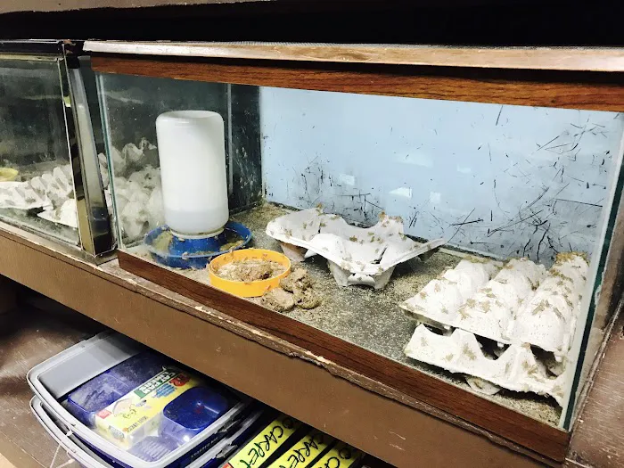 J B Tropical Fish Picture 2