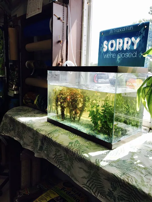 J B Tropical Fish Picture 3