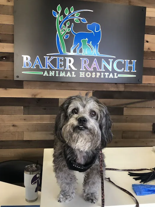 Baker Ranch Animal Hospital Picture 6